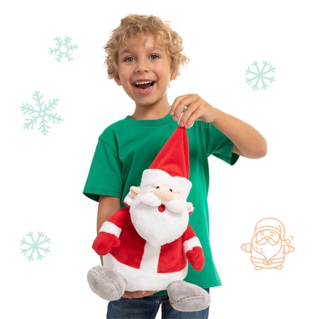 Подарок «Дед Мороз» 300г Премиум ПТЗ-39мп