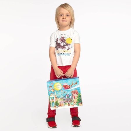 Набор №21 (книжка Зима в лесу + чемоданчик) НТ-21