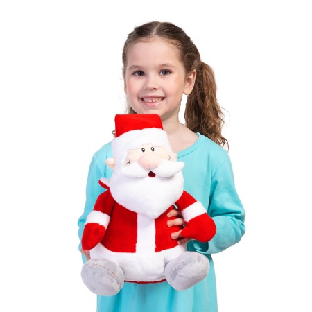 Подарок «Дед Мороз» 600г Стандарт ПТЗ-39с