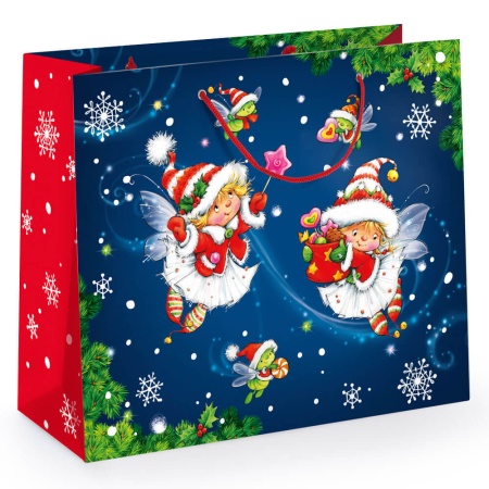 Набор Копилка 300г Стандарт НЗМ-20мс